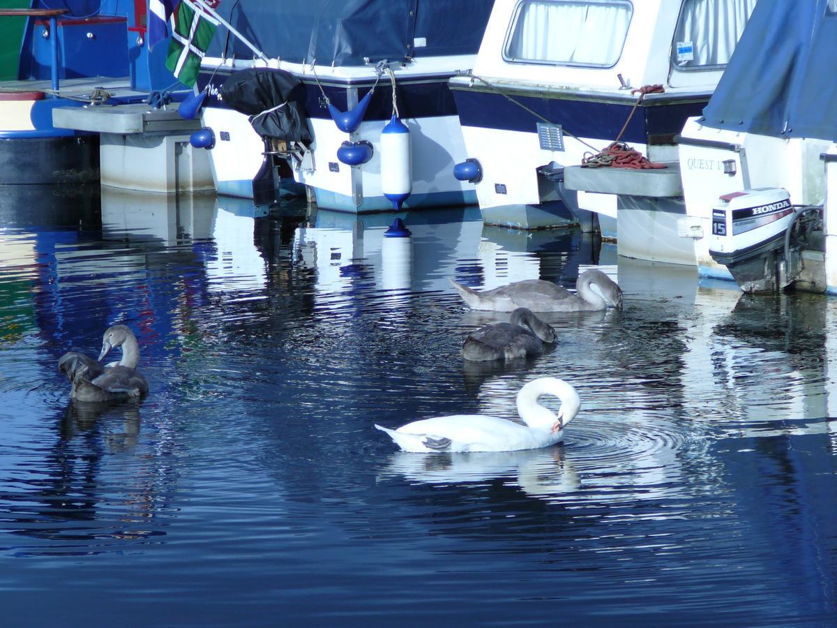 Hotel The Boat House 3*